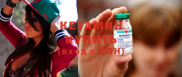 шишки Надым