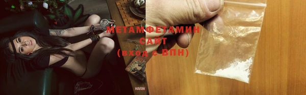 шишки Надым