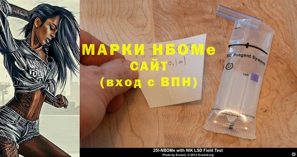 шишки Надым