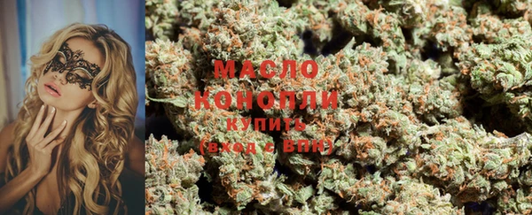 шишки Надым