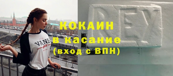 шишки Надым